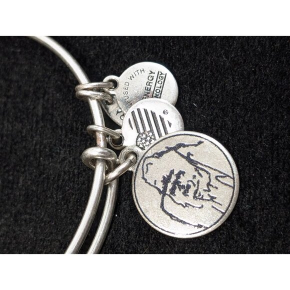 Alex and Ani Gorilla Charm Bracelet Silver Tone 7 inches NEW - Picture 1 of 9